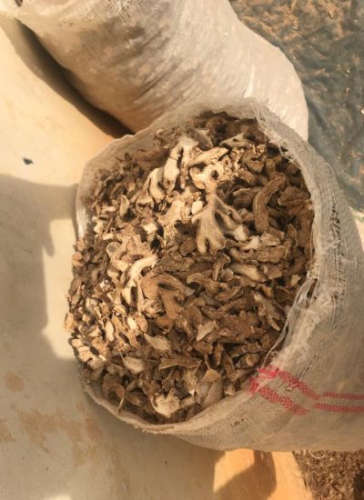 dry-split-ginger-palmadex-nigeria-latest-16