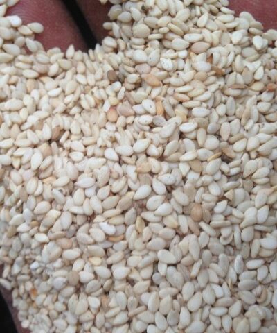 Hulled-Sesame-Seeds-3